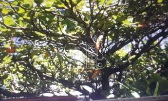 Imagem 2: Apartamento com 3 dormitórios à venda, 153 m² por R$ 1.400.000 - Ipanema - Rio de Janeiro