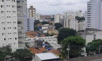 Imagem 4: SãO PAULO - Padrão - PERDIZES