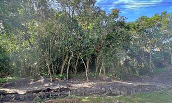 Imagem 3: Terreno em Boracéia