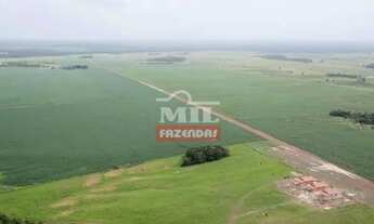 Imagem 2: FAZENDA 1.050 alqueires ( 5.082 hectares ) SUL PARÁ