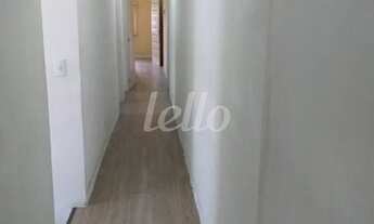 Imagem 5: São Paulo - Casa Padrão - Cachoeirinha