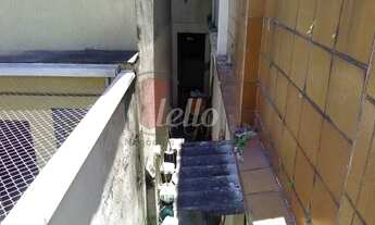 Imagem 7: São Paulo - Casa Padrão - Belém