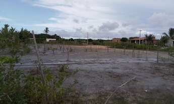 Imagem 2: Terreno da cidade de raposa de frente e 13 de fundo e 15