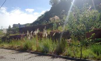 Imagem 5: 2 Terrenos juntos 520,70m2 + 590,81m2 de frente para a vínicola argenta