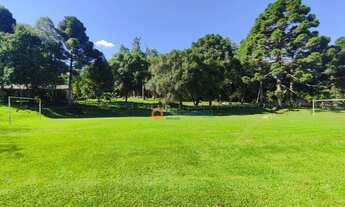 Imagem 3: Chácara com 7 dormitórios à venda, 121000 m² por R$ 3.000.000 - Guairacá - Guarapuava/PR