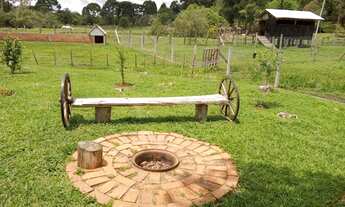 Imagem: Sítio campo alegre vendo