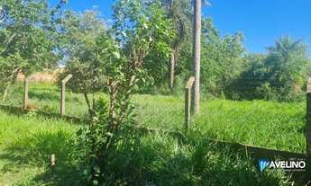 Imagem 5: Ótima área na avenida Gunter Hans