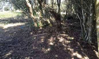 Imagem 2: Terreno com acesso a lagoa