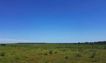 Imagem 5: Fazenda com 8.885 hectares na região de santiago do norte