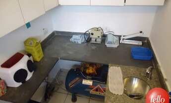 Imagem 7: São Paulo - Casa Comercial - Campo Belo