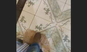 Imagem 6: Alugo Casa 2 Quartos Novo GAMA -GO