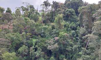 Imagem 3: Apto Centro, amplo, vista verde, sol, infraestrutura, Rua 16 de março - Petrópolis - RJ