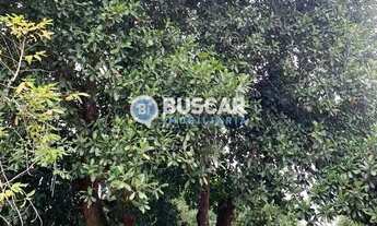 Imagem: Sítio em Sim, Feira de Santana/BA