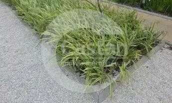 Imagem: Apartamento andar alto 25m²