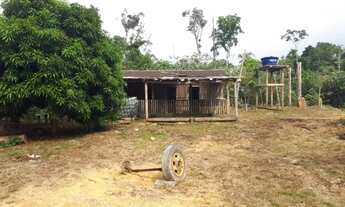 Imagem 6: Sítio 1.500 x 2.000 em estrada de Balbina 300.000