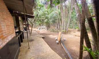 Imagem 7: CHACARA 6000m², SETOR AEROPORTO SUL - APARECIDA DE GOIÂNIA