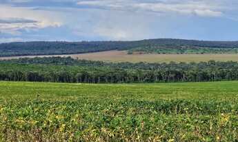 Imagem 3: R$130 Milhões Fazenda de 6.402 ha em Nova Mutum-MT