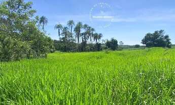 Imagem: Terra p/ plantio de lavouras, eucalipto