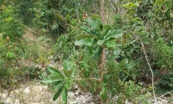 Imagem 2: LOTE SERRA DA MESA EM COLINAS DO SUL G.O