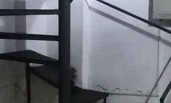 Imagem 7: EXCELENTE LOJA NA GALERIA OXFORD - RUA DIAS DA CRUZ 188