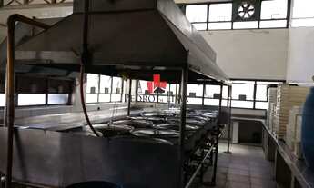 Imagem 7: Prédio Comercial 374m² A.C. no Tatuapé