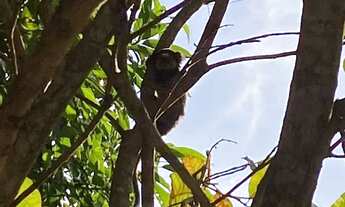 Imagem 4: Kitnets chácara BR153 Jaiara Anapolis