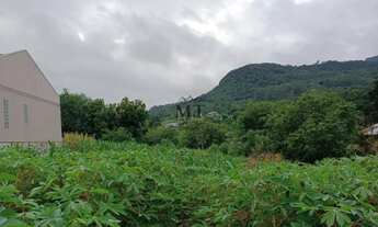 Imagem 4: Terreno bairro Floresta, Picada Café. RS REF: 374