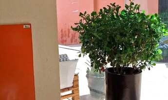 Imagem 3: 2 quartos com suíte, lazer piscina deck, churrasqueira vista mar liga 9 87 48 31 08 Diego