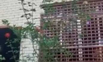 Imagem 5: CASA ASSOBRADADA - POMPÉIA - SP