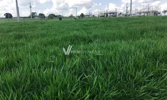 Imagem: Terreno - Boa Esperança - Paulínia