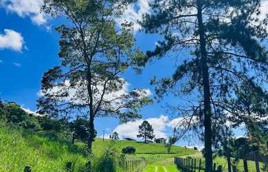 Imagem 4: Imóvel para venda com 500 metros quadrados com 1 quarto em Lageadinho - Ibiúna - SP
