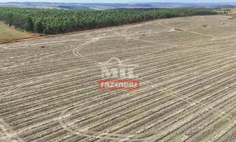 Imagem 3: Fazenda 338 Alqueires (1.635 hectares) Alexânia - GO