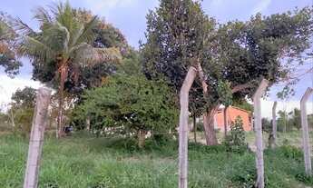 Imagem 5: Vendo Lote imperdível