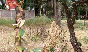 Imagem 5: Terreno para Venda ou Locação de 5000 m² no Recreio Anhanguera em Ribeirão Preto