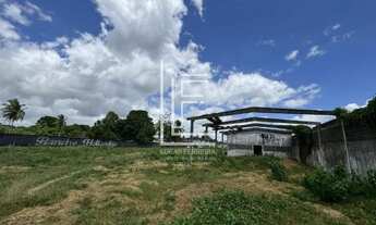 Imagem 6: Excelente oportunidade! Área de aproximadamente 17.350m² na Av. Gustavo Paiva em Rio Largo