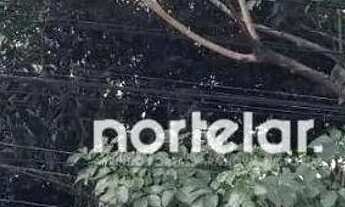 Imagem 7: Terreno à venda, 430 m² por R$ 1.100.000,00 - Vila Mangalot - São Paulo/SP