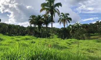 Imagem 6: Fazenda à venda, zona rural, Pires do Rio, GO