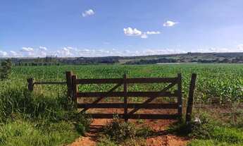 Imagem: Vendo o melhor sítio da região da Taquara