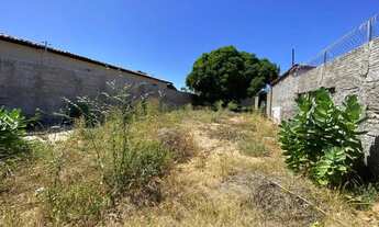 Imagem 5: Terreno - Aluguel