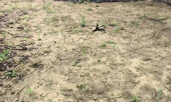 Imagem 5: Imóvel para venda possui 1000 metros quadrados em Lameirão - Guarapari - ES