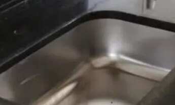 Imagem 7: Aluga-se Casa com 2 dormitórios