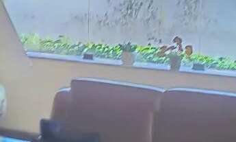 Imagem 3: Apartamento praça da liberdade com 90 m2 com 2 quartos + reversível em Centro - Petrópolis