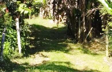 Imagem 12: TERRENO PARA CHACARA 3.000m2 10 minutos da Régis Bittencourt