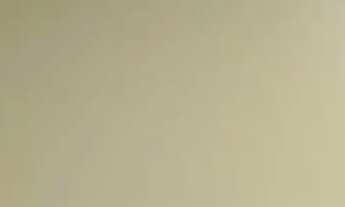 Imagem 3: Vendo apto Apartamento com 2 dormitórios