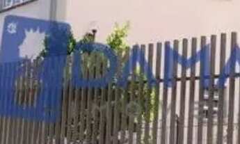 Imagem: Apartamento com 3 quartos para alugar por