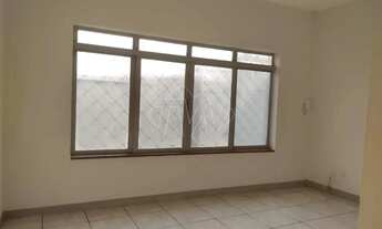 Imagem 6: Locação de Casas / Padrão na cidade de Araraquara