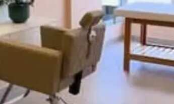 Imagem 2: RR - AP6961 Apartamento com 2 dormitórios