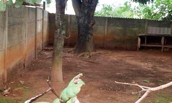 Imagem 3: OPORTUNIDADE DE NEGÓCIO: Casa, Residencial Bougainville, LT 377,48m²