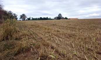 Imagem 3: Sitio em casa branca 17 alqueires 6.000.000.00 ( j-ca