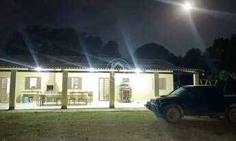 Imagem 6: ANO TODO PASTO VERDE